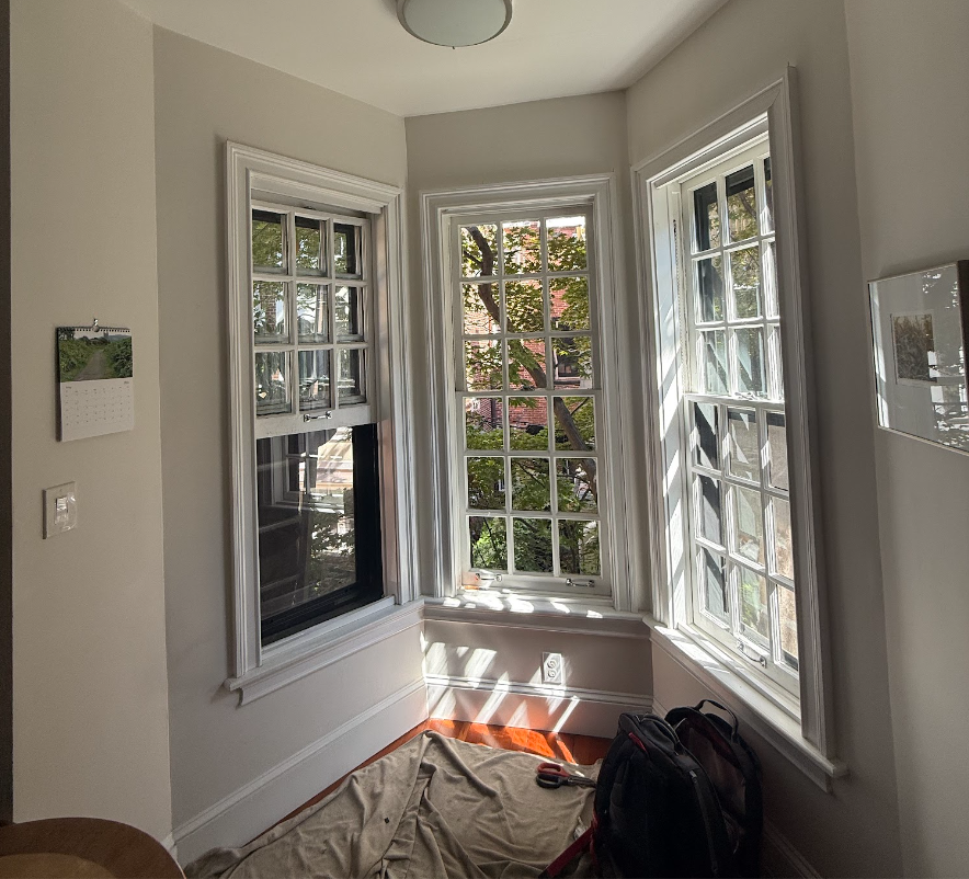 Historic Charm Meets Modern Efficiency: A Window Upgrade in ...