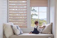Window Treatments